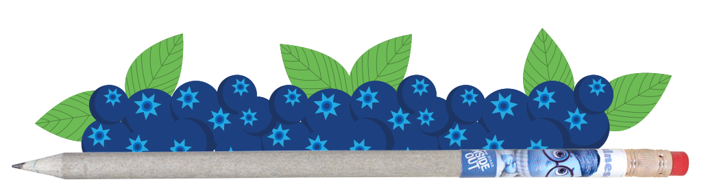 blueberry accordion