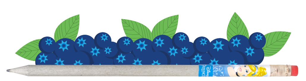 blueberry accordion